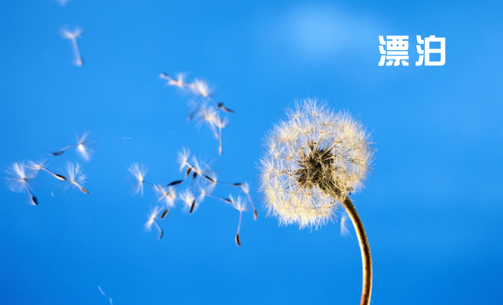 漂泊